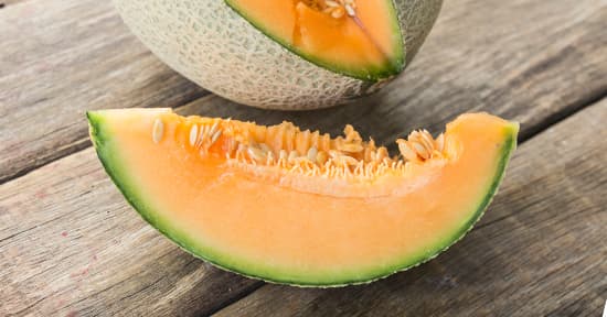 Rockmelon - Medium