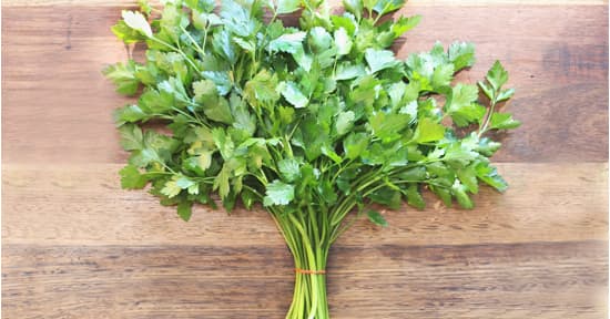 Herb - Parsley - Flat Leaf