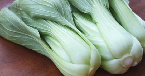 Chinese Veg - Pak Choy