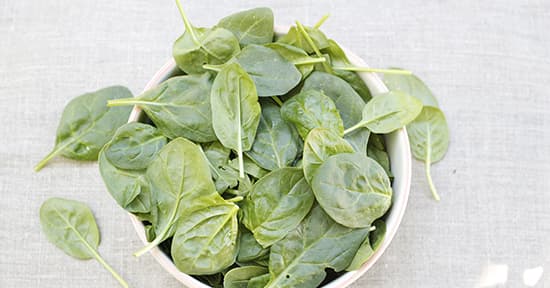 Spinach - Baby