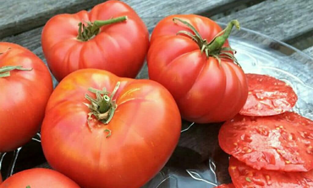 Tomatoes - Mixed Heirloom