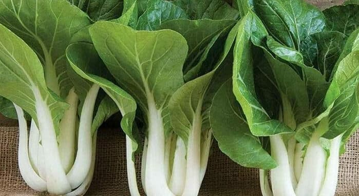 Chinese Veg - Bok Choy