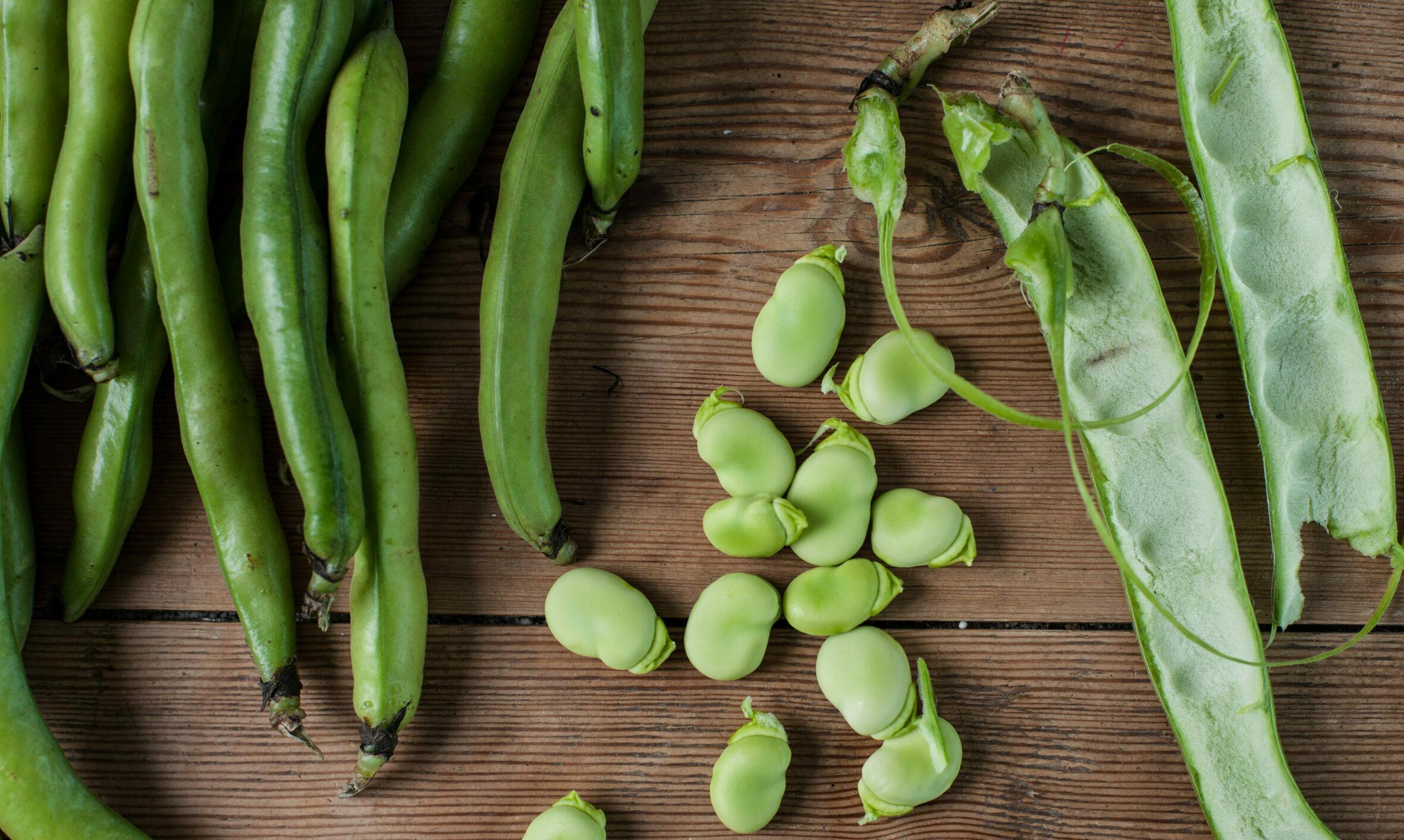 Beans - Broad