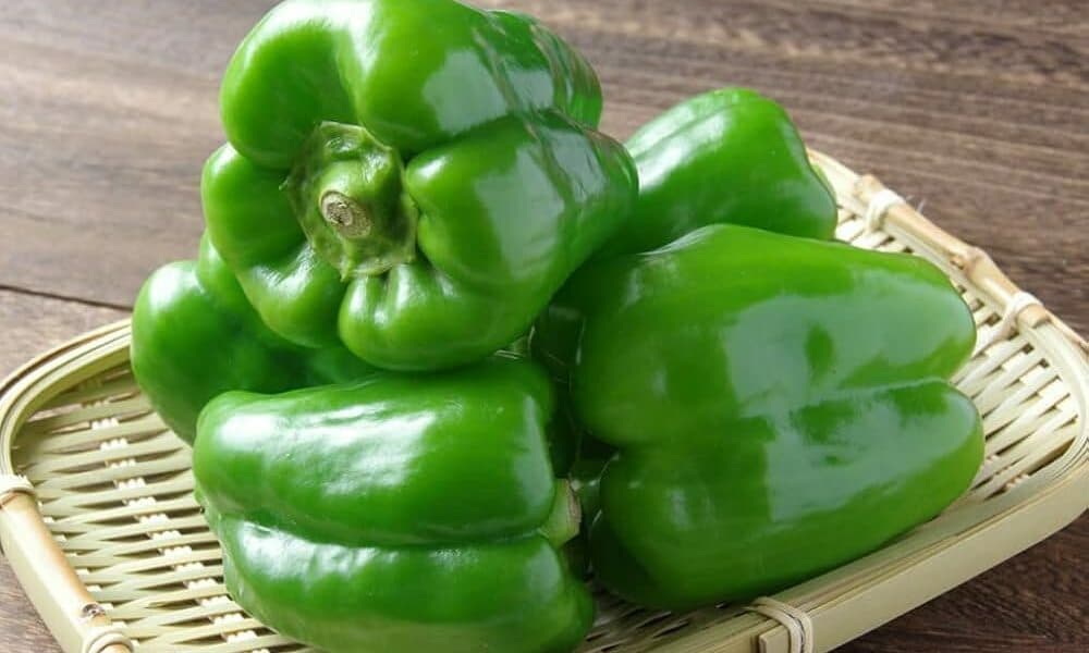 Capsicum - Green