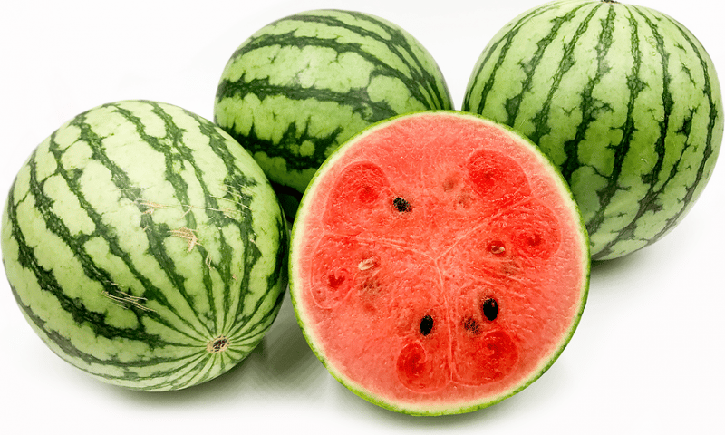 Watermelon - Mini Lee Seedless - WHOLE Melon Approx 0.9kg-1.4kg each