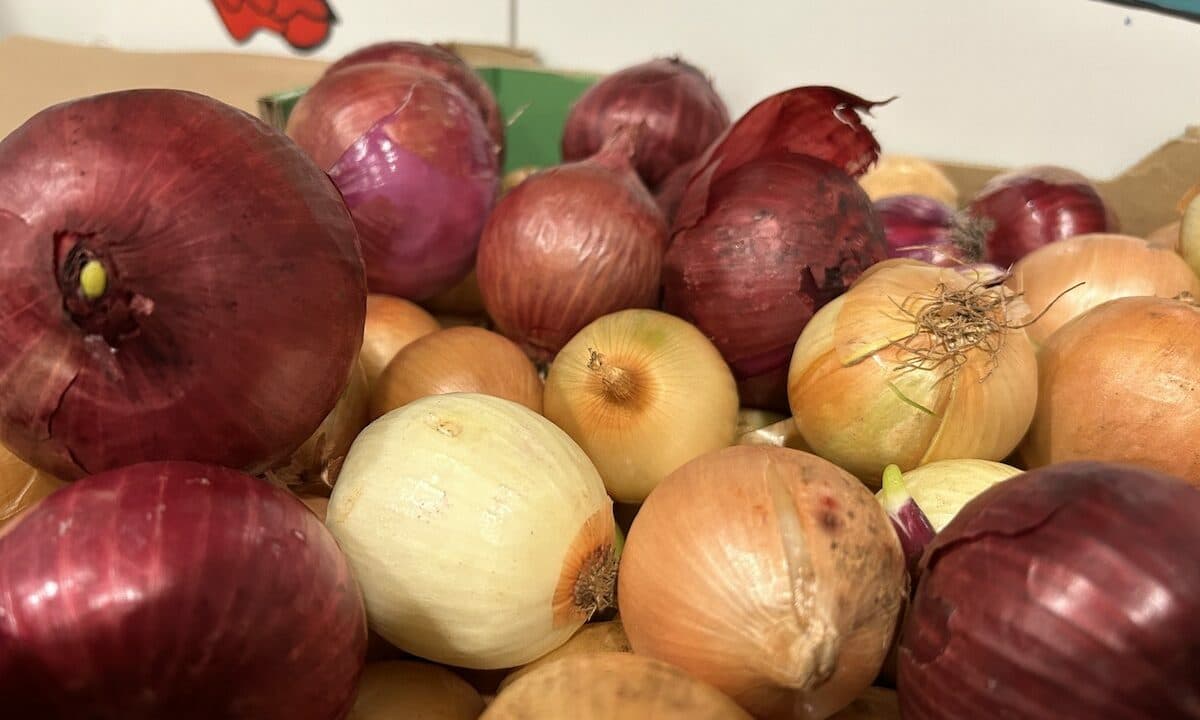 Onions - 2nds