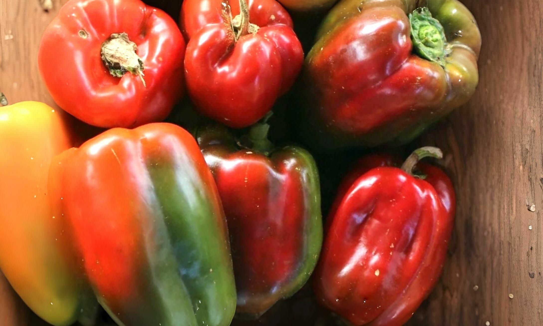 Capsicum - Mixed Colour