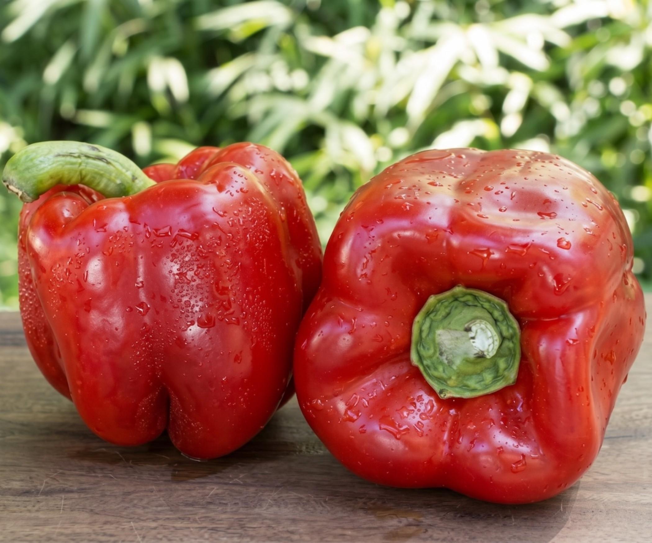 Capsicum - Red