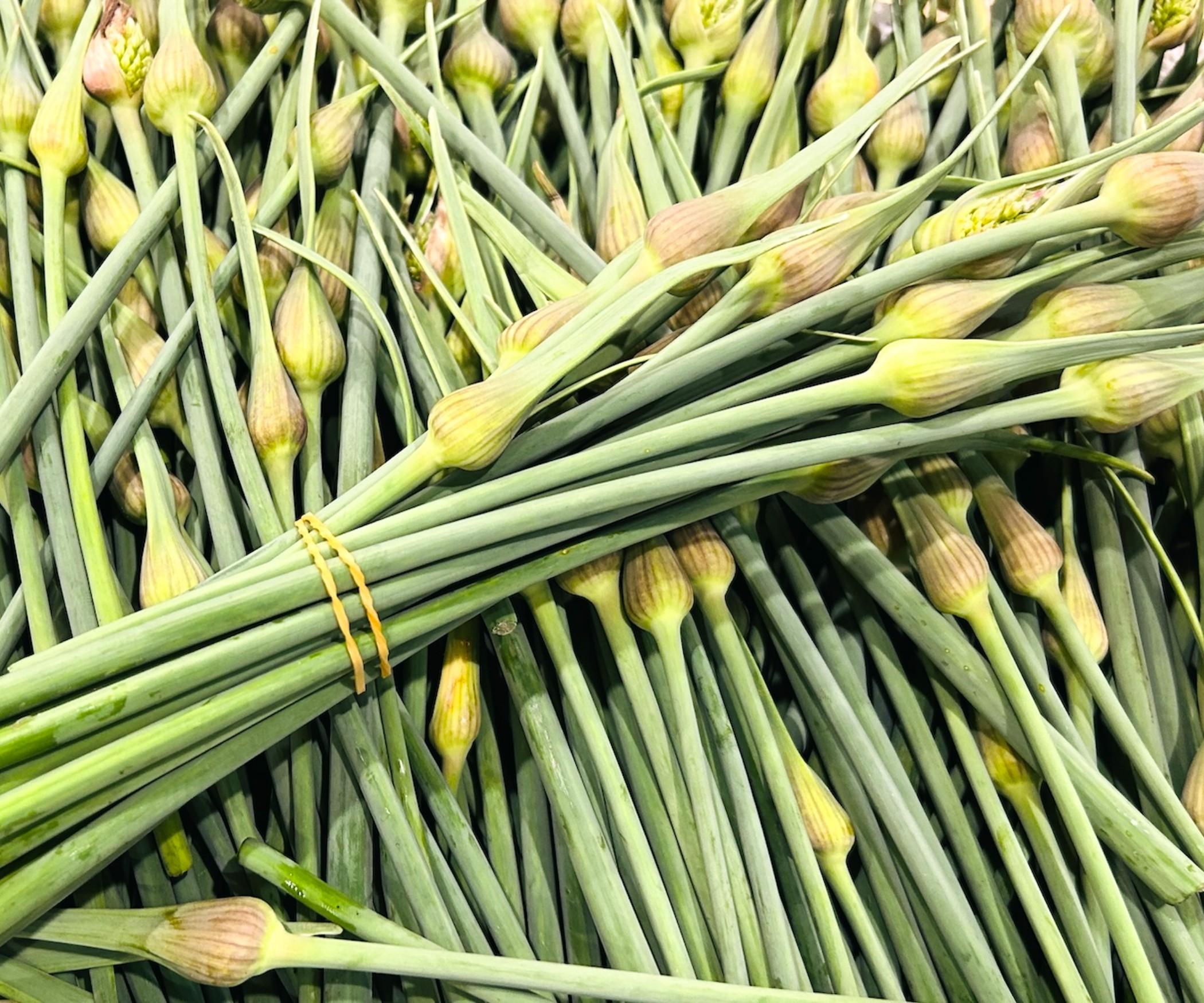 Garlic Scapes - 180g Bunch - Bargain!