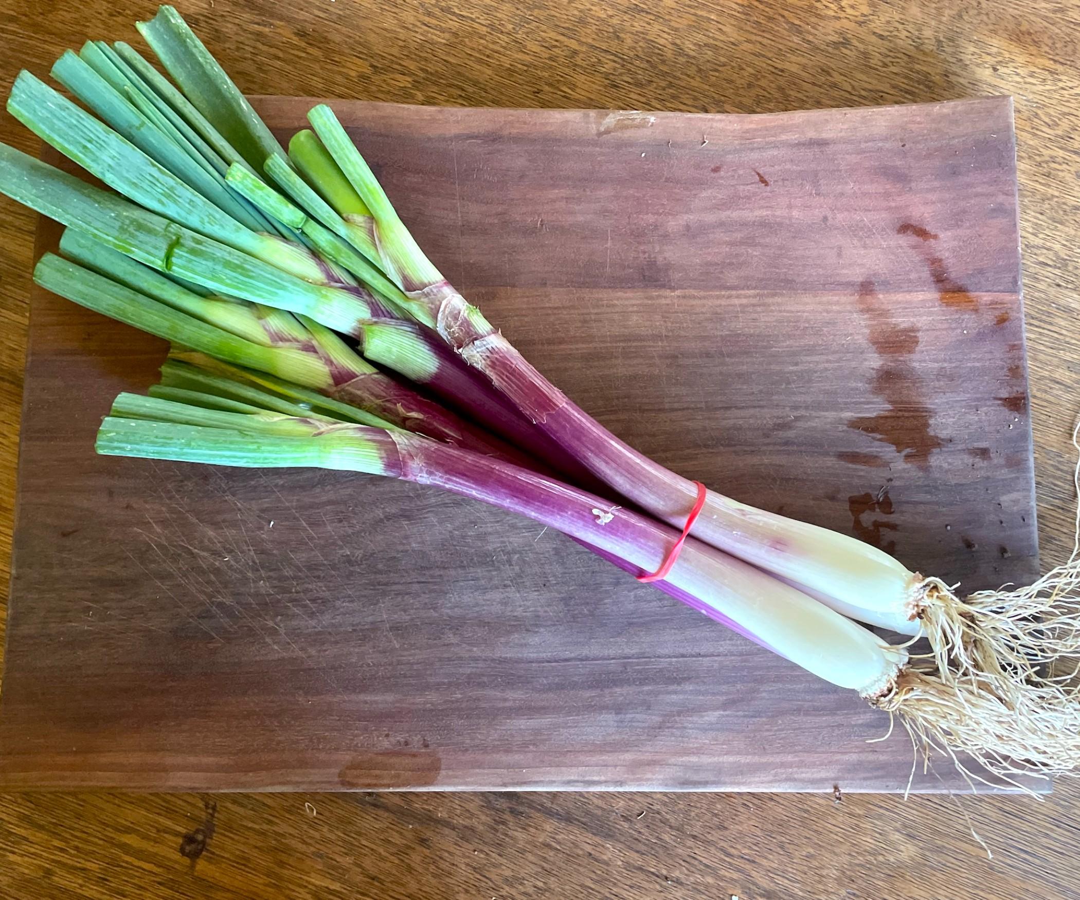 Fresh Red Salad Onions - Bunch