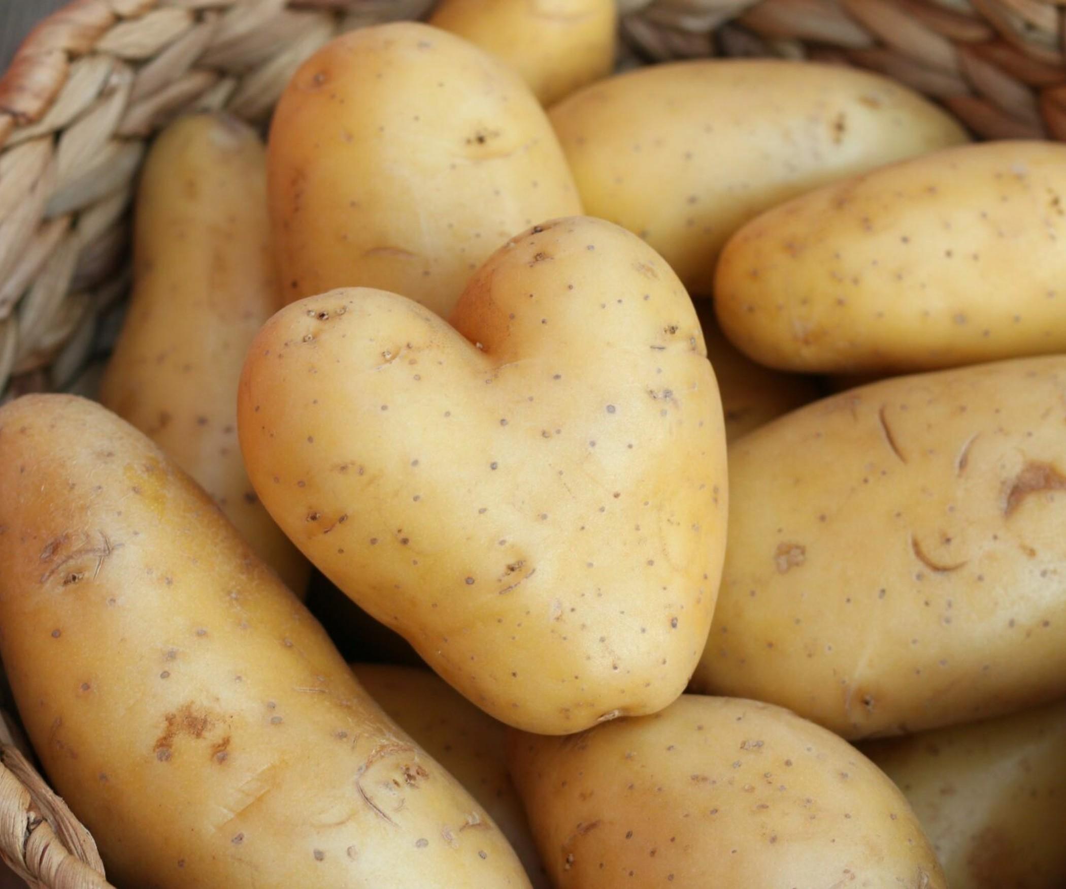 Potatoes - Washed Dutch Cream Chats (Small sizes)