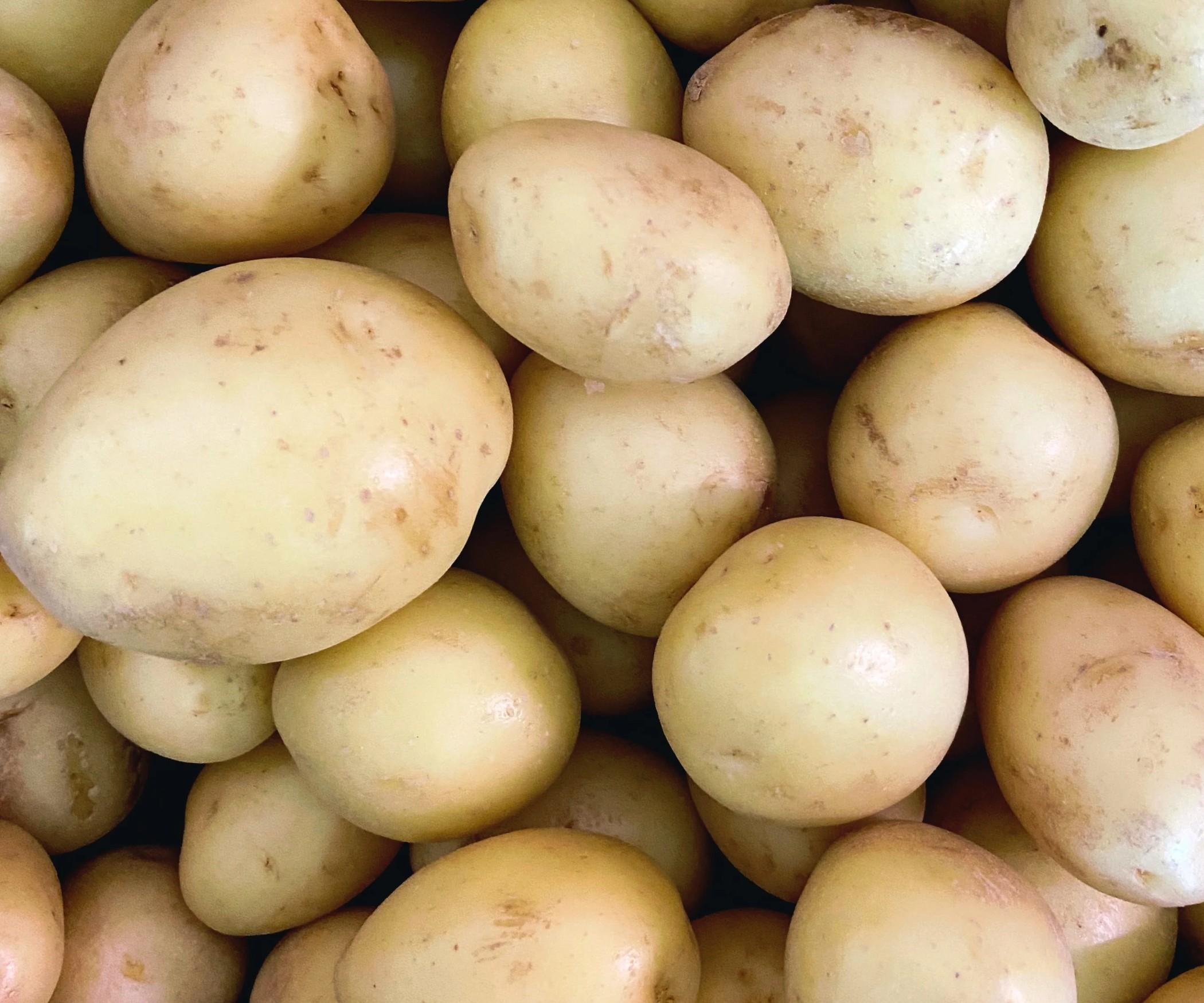 Potatoes - Royal Gold