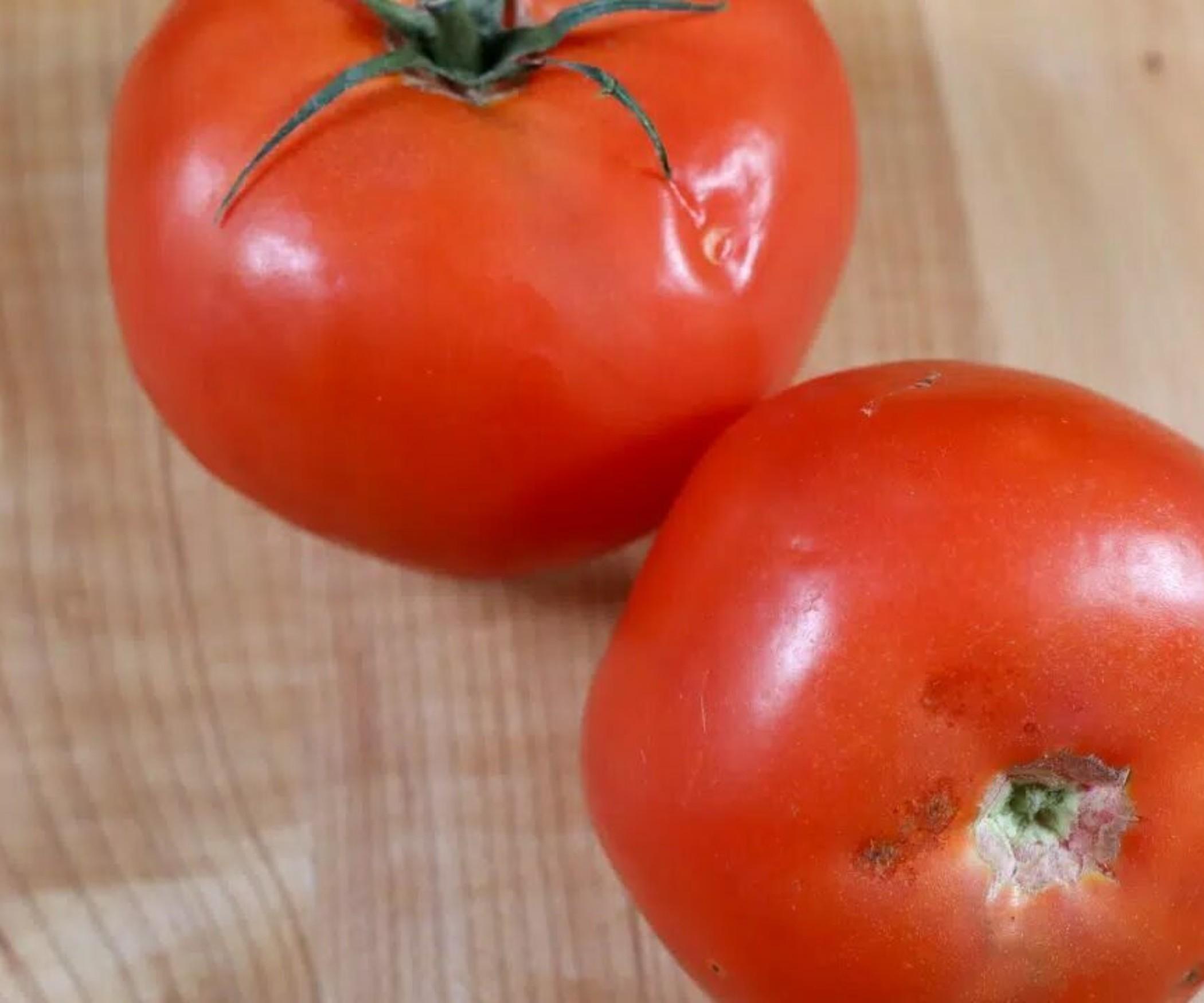 Tomatoes - Cooking (skin marks & some light bruising)