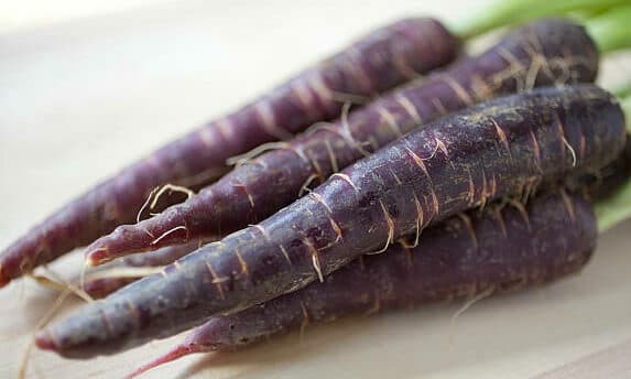 Carrots - Purple