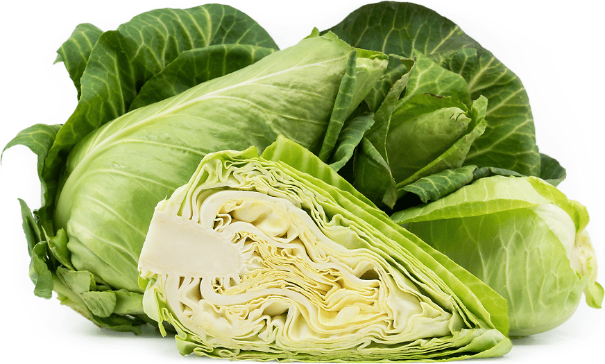 Cabbage - Sugarloaf