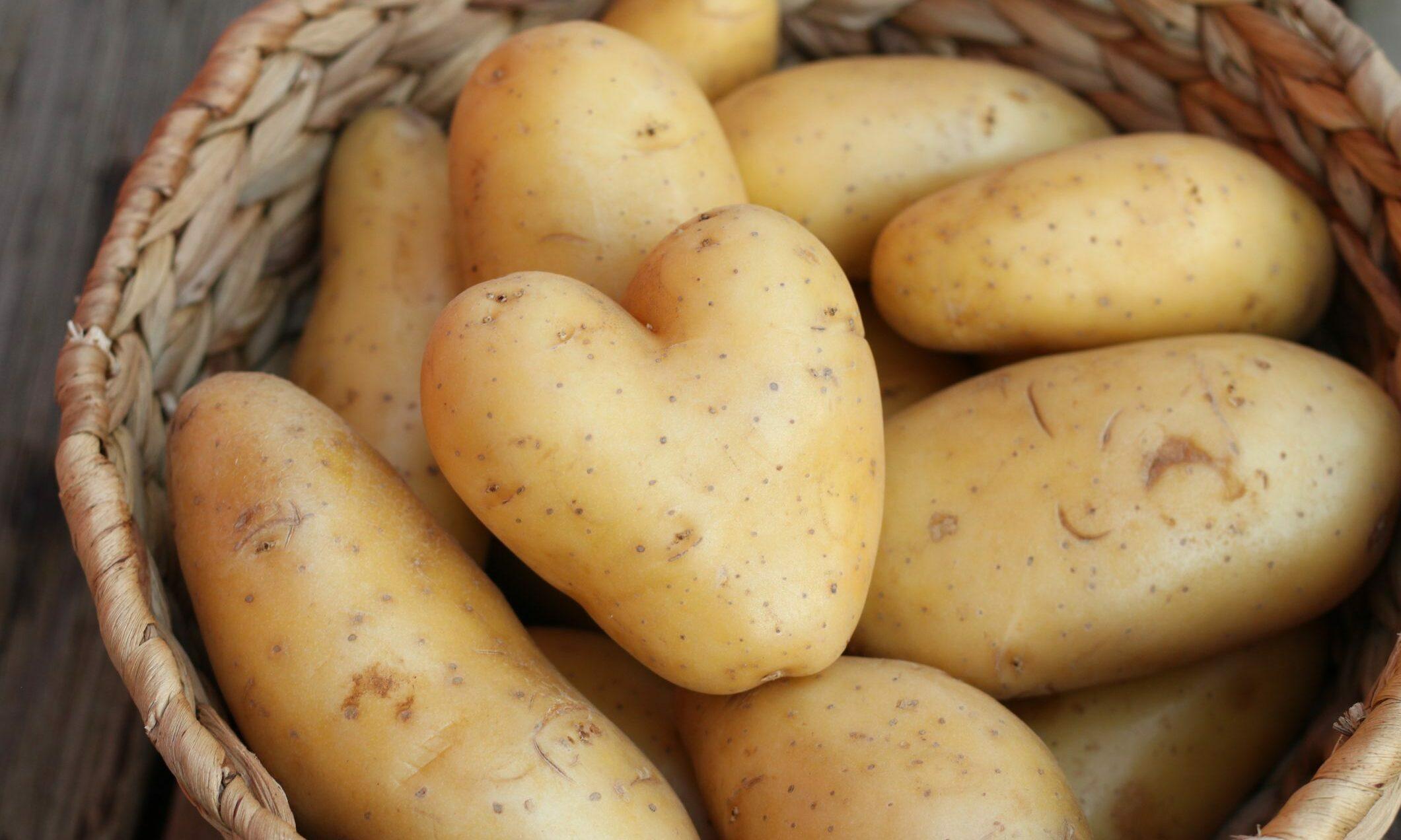 Potatoes - Washed Dutch Cream Chats (Small sizes ready to use!)