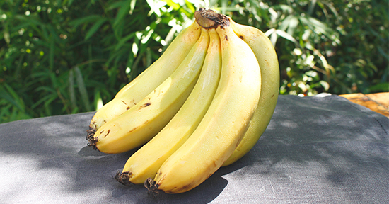 Organic Bananas, Coffs Coast, Home Delivery