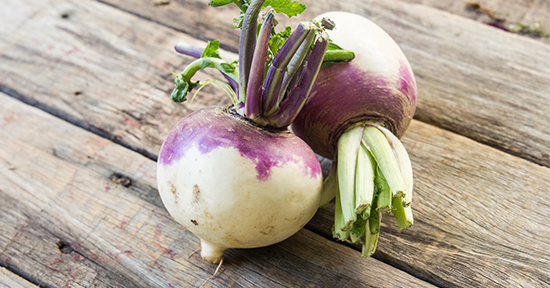 Sustainable, Organic, local, spray free, fresh produce, Macksville, Nambucca, Dorrigo, Urunga