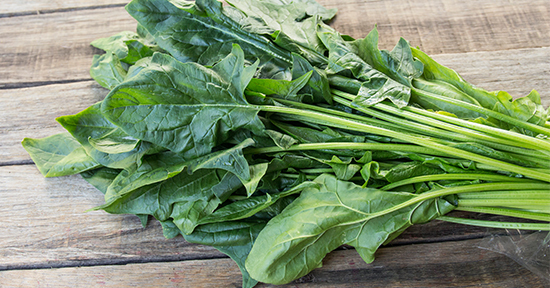 Sustainable, Organic, local, spray free, fresh produce, Macksville, Nambucca, Dorrigo, Urunga