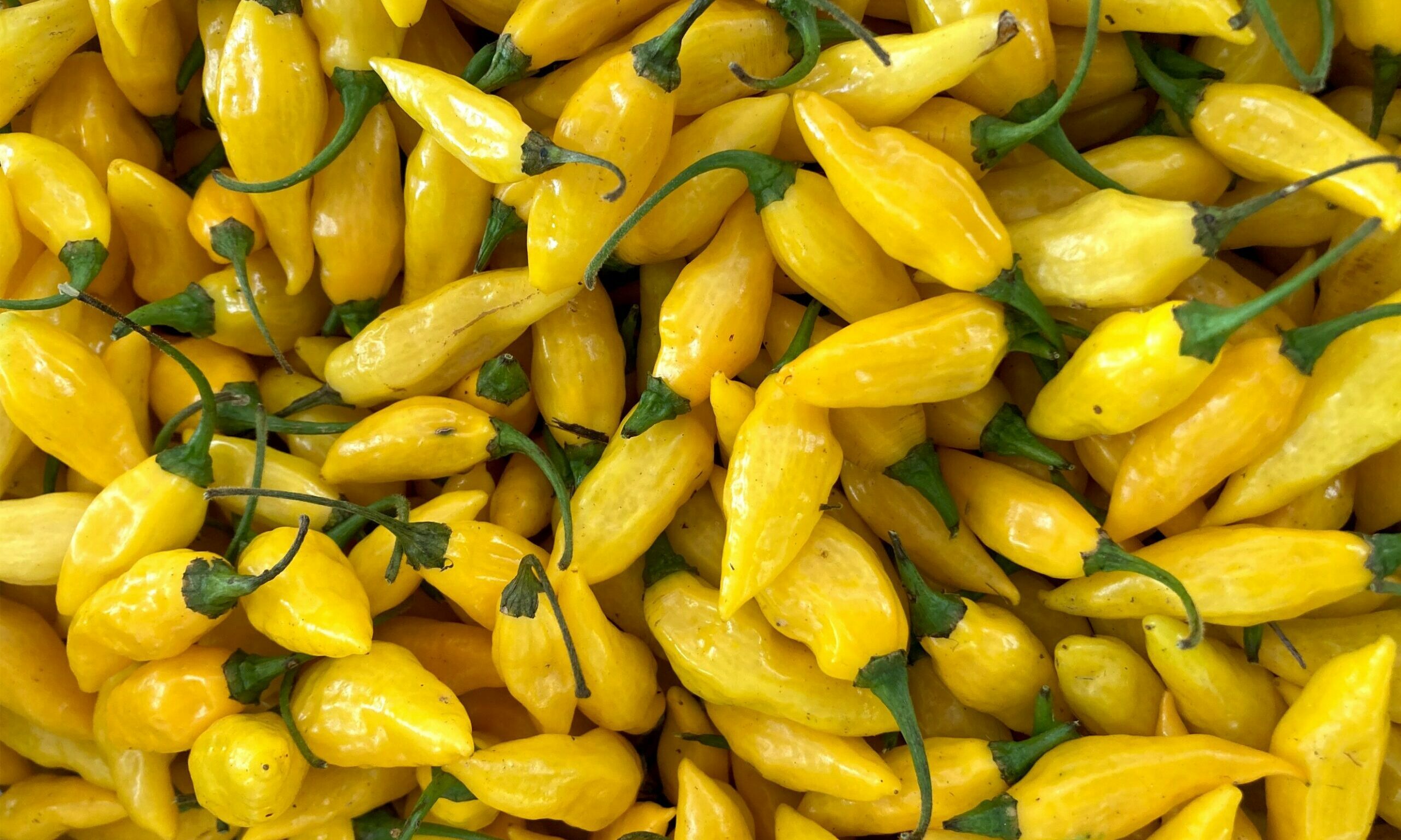 Chillies Yellow (Aji Limon) Bello Food Box Bello Food Box