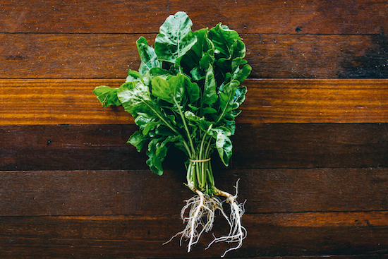 Local Organic Rocket Lettuce, Fresh Fruit & Vegetables Coffs Harbour