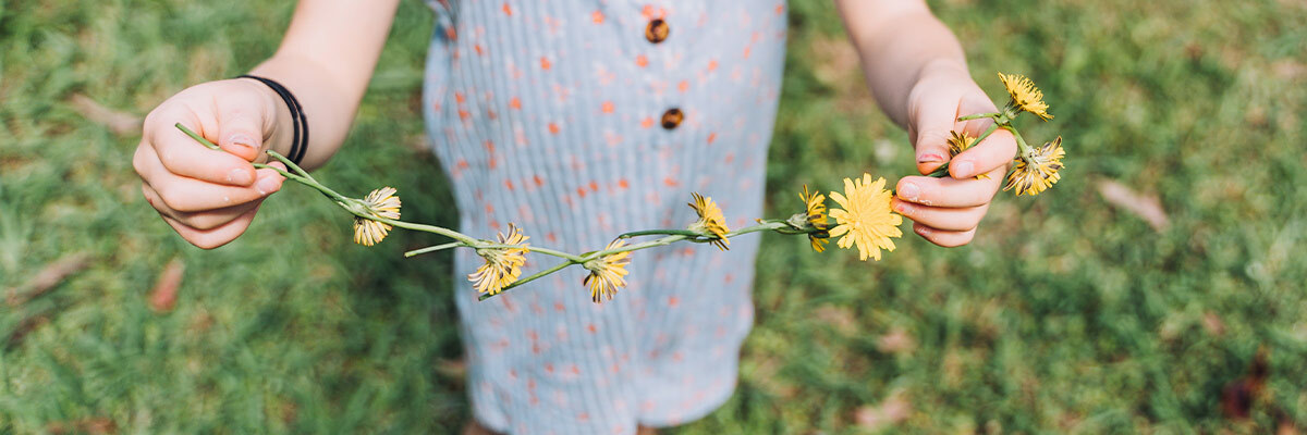 lillyflowerstring