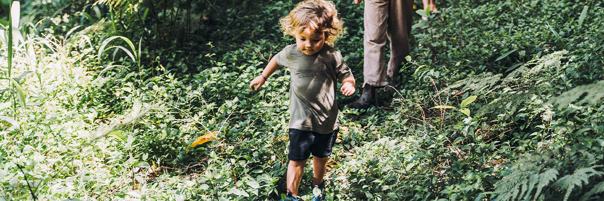 maxwalking